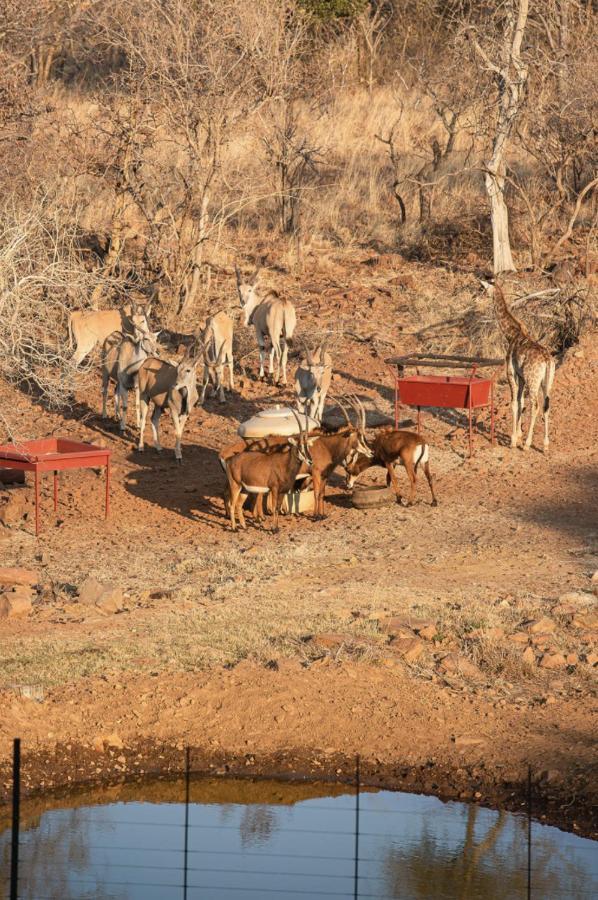 Tholo Manzi Private Game Farm Villa Zeerust Buitenkant foto