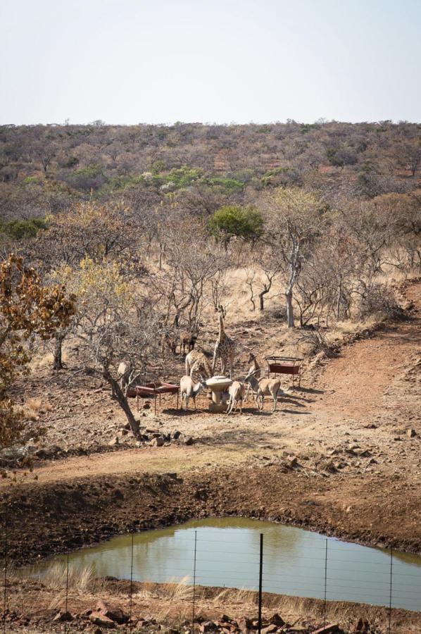 Tholo Manzi Private Game Farm Villa Zeerust Buitenkant foto