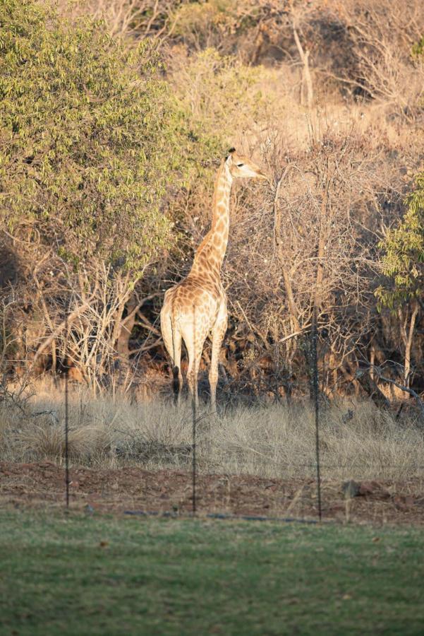 Tholo Manzi Private Game Farm Villa Zeerust Buitenkant foto