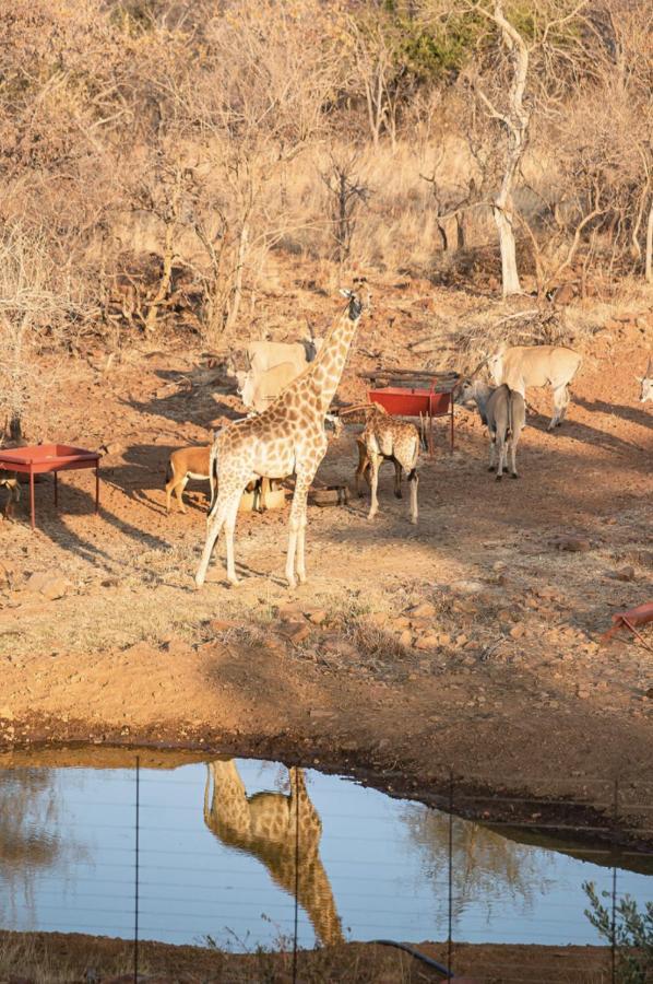 Tholo Manzi Private Game Farm Villa Zeerust Buitenkant foto