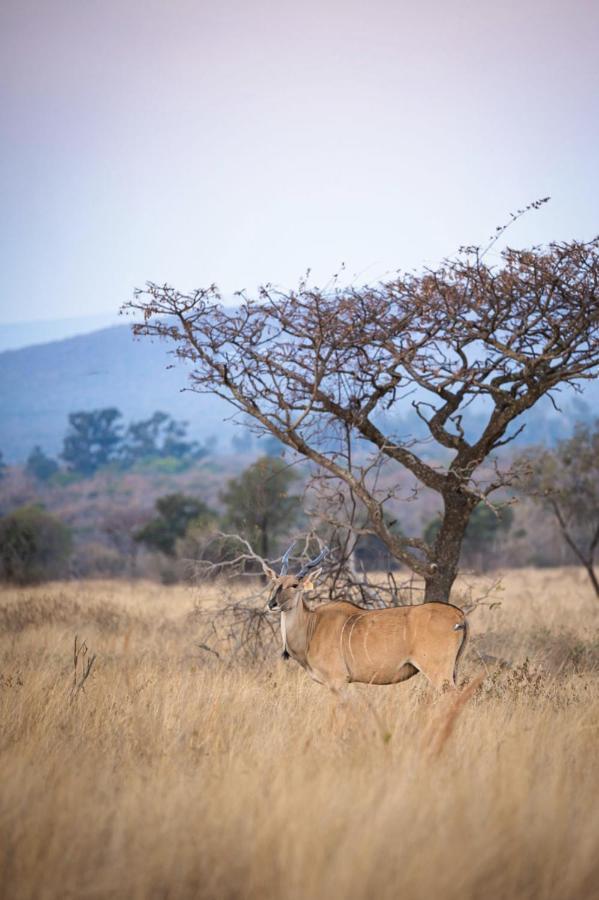 Tholo Manzi Private Game Farm Villa Zeerust Buitenkant foto